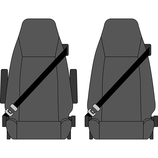 Detail von Bezüge RENAULT MAGNUM ab 2001 320