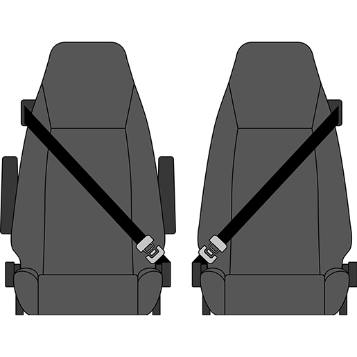 Detail von Mikrofaserbezüge DAF CF ab 2007 305