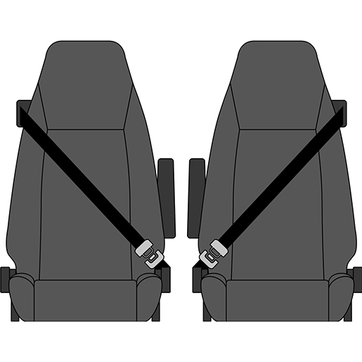 Detail von Mikrofaserbezüge DAF 106 XF ab 2015 300