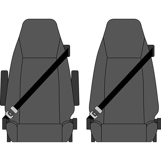 Detail von Mikrofaserbezüge RENAULT MAGNUM ab 2001 305
