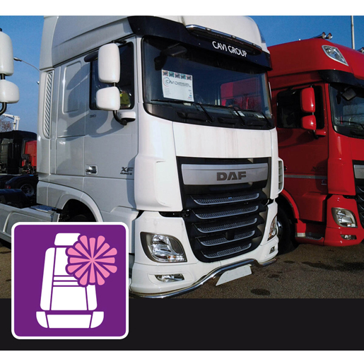 Mikrofaserbezüge DAF 106 XF ab 2015