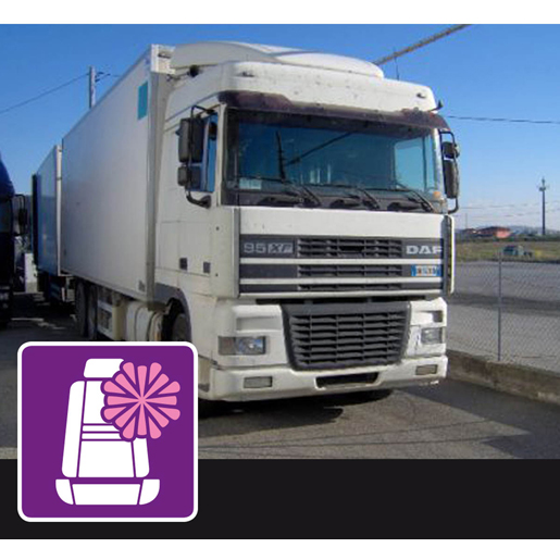 Mikrofaserbezüge DAF XF 95 ab 2002