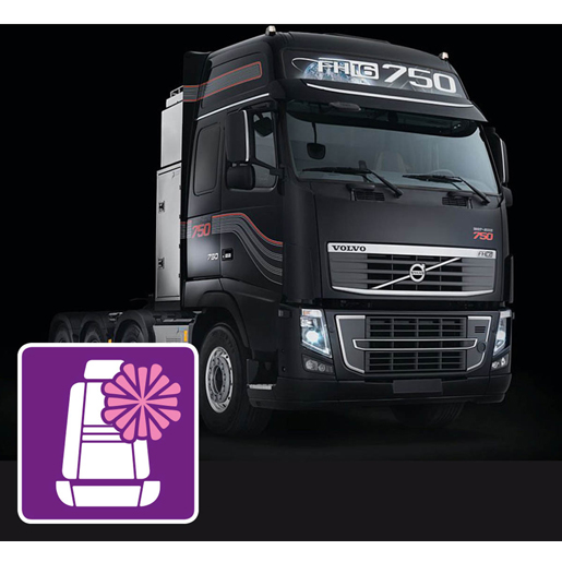 Mikrofaserbezüge VOLVO FH ab 2002