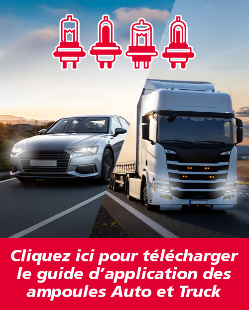 Ampoules Pl et VL 